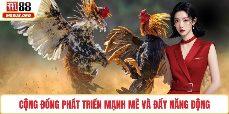 Cộng đồng phát triển mạnh mẽ và đầy năng động